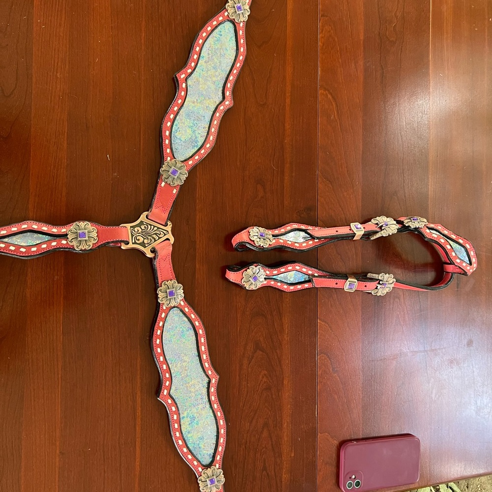 Circle H tack set
